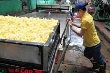 Nguồn cung cao su thế giới có thể thiếu hụt
